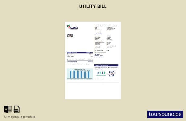 lista para imprimir la plantilla de factura de servicios públicos de electrici 8